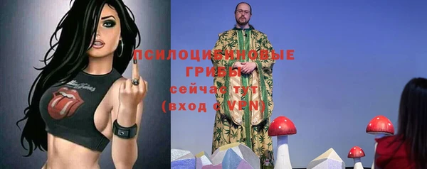 гашик Мегион